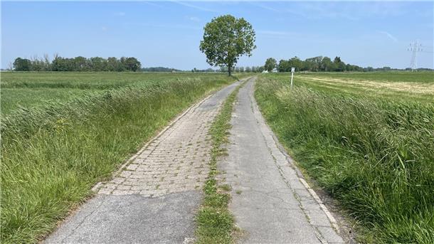 Feldweg