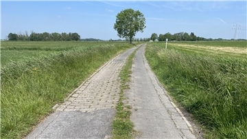 Feldweg