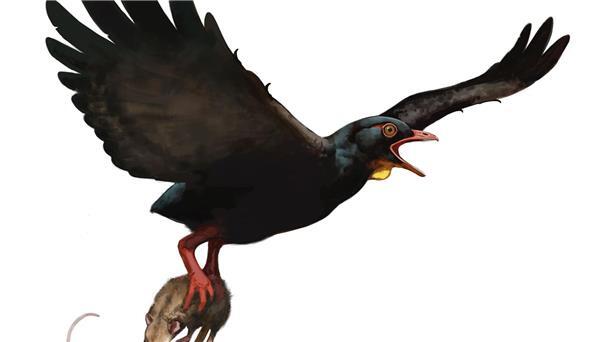 Über den Dinos kreisten womöglich schon Raubvögel So ungefähr könnte einer der neu beschriebenen frühen Raubvögel ausgesehen haben.