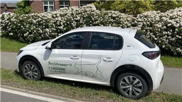 Ein Auto
