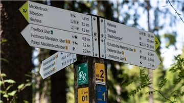 Solange Corona Fernreisen ausbremst, suchen viele Menschen im Norden Erholung beim Wandern. Wandervereine und Touristikzentralen berichten von steigendem Interesse.