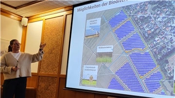 Solarblick-Projektleiterin Rena Paziorek erläutert ein Projekt in Abbehausen