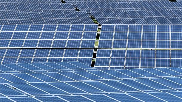 Solarmodule stehen in der Sonne.