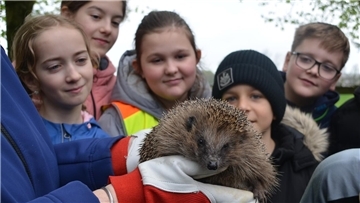 Ein Igel und viele Kinde