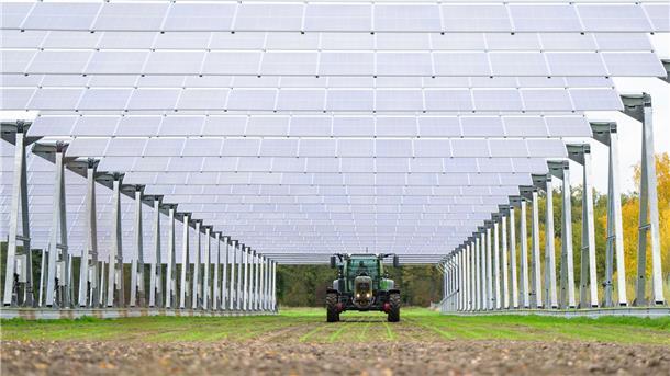 Sonnenenergie von oben, massenhaft Schnittlauch am Boden: Diese ein Hektar große Agri-PV-Anlage befindet sich im Wendland. In der Wesermarsch gibt es solche Anlagen bislang noch nicht. Doch das könnte sich bald ändern.