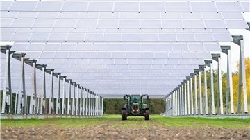 Sonnenenergie von oben, massenhaft Schnittlauch am Boden: Diese ein Hektar große Agri-PV-Anlage befindet sich im Wendland. In der Wesermarsch gibt es solche Anlagen bislang noch nicht. Doch das könnte sich bald ändern.