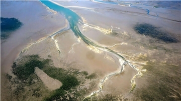  Ein Priel zieht sich durch das ostfriesische Wattenmeer. (zu dpa: «Studie: Wie verändert sich das Wattenmeer?») 