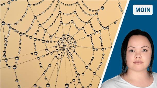 Ein Spinnennetz mit Wassertropfen und Moin-Autorin Feenke Hornbostel. 