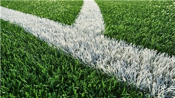 Sportlich plant Loxstedt den großen Wurf: Am Ortsausgang Richtung Nesse soll für fast acht Millionen Euro ein kreisweit einzigartiger Sportpark entstehen - mit Kunstrasenplatz.