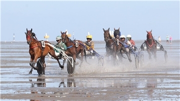 Spritzige Rennen - das lieben die Zuschauer am Wattrennen in Cuxhaven-Dihnen.