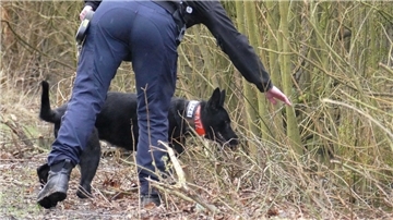 Spürhund der Polizei Niedersachsen bei der Suche nach Hinweisen zur Vermissten.