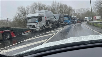 Staus im Hafen: Weil die Fahrzeugtransporter nicht auf den Autoterminal gelangen, verstopfen sie die Straße. Etliche Hafenbetriebe sind deshalb verärgert. Foto: Privat