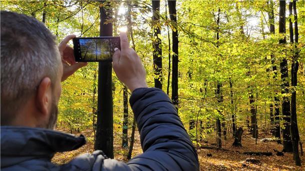 Warum es sich lohnt, den Herbst zu lieben Stimmungsvolle Bilder lassen sich in diesen Tagen mit der Handykamera festhalten.