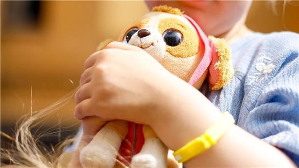 Star Wars, Harry Potter, Pokémon: Lizenzspielzeuge im Handel Stoffhund von PAW Patrol. In Spielzeuggeschäften hat man oft die Qual der Wahl.