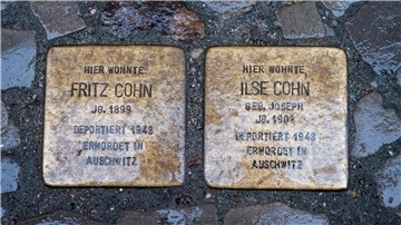 Stolpersteine mit den Namen Fritz Cohn und Ilse Cohn, verlegt in Stralsund.