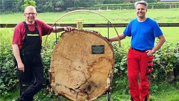 Holger Schnibbe und Tobias Böttjer stehen neben der aufgestellten Baumscheibe einer 170 Jahre alten Eiche
