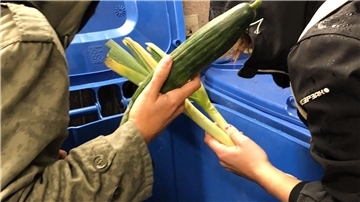 Studenten nehmen weggeschmissene Lebensmittel aus einer Mülltonne.