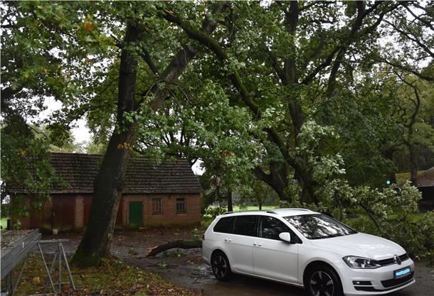 Unwetter an den Küsten (Update #27): Person auf Fehmarn von Baum erschlagen Sturmschaden in Farven.
