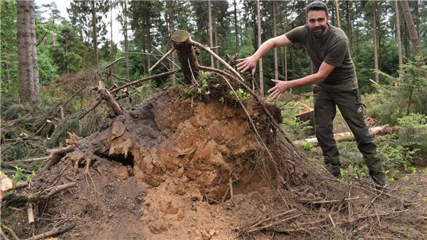 Sturmschäden wie die Wurzel dieses umgekippten Baumes sieht man aktuell in allen Wäldern. Durch die anhaltend verhältnismäßig trockene Witterung der letzten Jahre hatten viele Bäume den Frühjahrsstürmen in diesem Jahr nicht viel entgegen zu setzen.