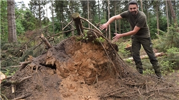 Sturmschäden wie die Wurzel dieses umgekippten Baumes sieht man aktuell in allen Wäldern. Durch die anhaltend verhältnismäßig trockene Witterung der letzten Jahre hatten viele Bäume den Frühjahrsstürmen in diesem Jahr nicht viel entgegen zu setzen.