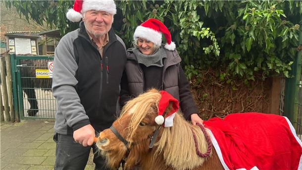 Susanne und Heinz‑Christian Steiner vom Tierpark Cuxart fütttern Pony Sabrina mit Kartotten.