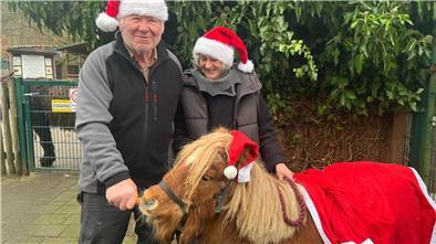 Susanne und Heinz‑Christian Steiner vom Tierpark Cuxart fütttern Pony Sabrina mit Kartotten.