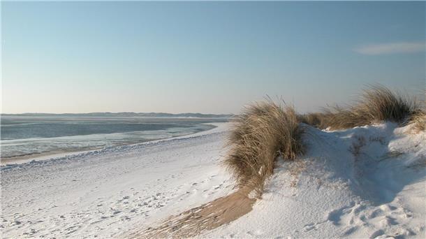 Ein Strand auf Sylt.