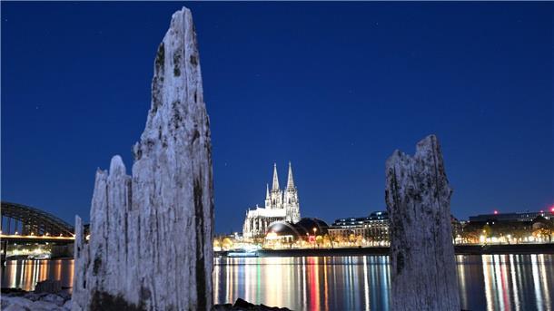 Trockenperiode in Deutschland - was sind die Folgen? Teile einer Holzkonstruktion, die normalerweise unter Wasser liegen, sind am Rhein gegenüber vom Kölner Dom zu sehen.