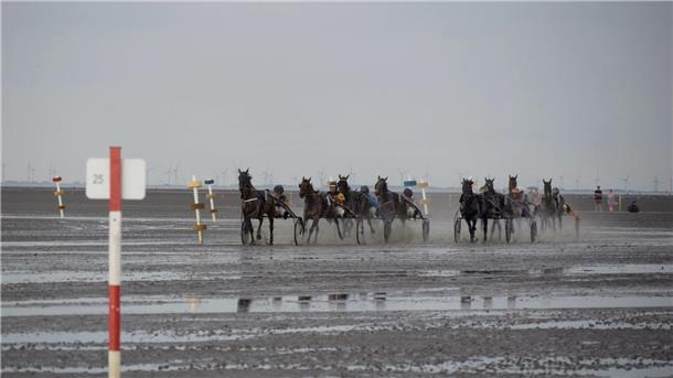 Teilnehmer und Teilnehmerinnen des Trabrennens sind in Aktion vor dem Strand von Duhnen.