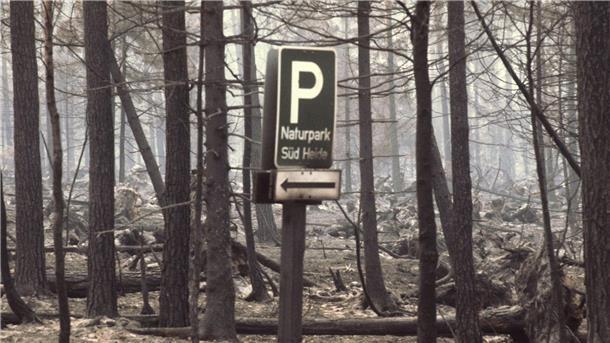 Meinersen gedenkt Waldbrandkatastrophe in der Südheide Teilweise wurden während des Feuers Orte evakuiert. (Archivbild)