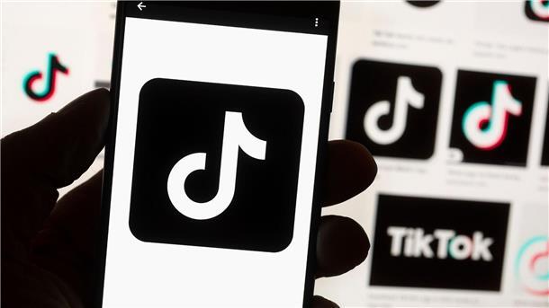Diese beiden TikToker aus dem Landkreis Rotenburg starten im Internet durch TikTok nutzen insbesondere jüngere Menschen, um sich kurze Videos anzusehen. Foto: Michael Dwyer/AP/dpa