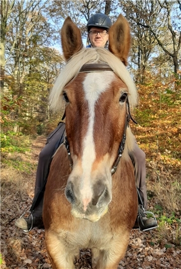 Tino und Momme aus Drangstedt sind mit dabei: Sie registrieren ihre schönsten Reitrouten, damit sich auch andere Pferdefreunde an den pferdefreundlichen und landschaftlich reizvollen Strecken im Cuxland erfreuen können.