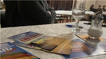AfD Prospekte auf einem Tisch