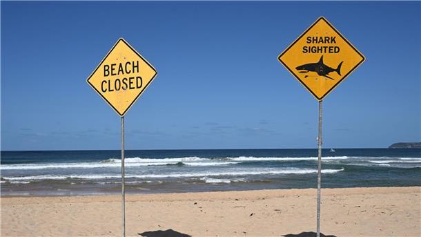 Surfer stirbt nach Hai-Attacke in Sydney - Strände gesperrt Tödliche Haiangriffe sind selten in Australien - dieses Jahr gab es aber schon mehrere. (Archivbild)