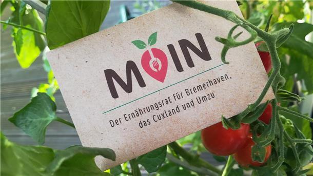 Tomatenpflanze mit Visitenkarte des Ernährungsrates