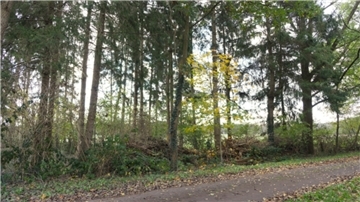 Totholz liegt am Rande eines Waldstücks zu Haufen geschichtet. Weil es eine anonyme Beschwerde beim Amt für Naturschutz in Rotenburg gegeben hat, flatterte einem Breddorfer Landwirt eine naturschutzrechtliche Anordnung ins Haus.