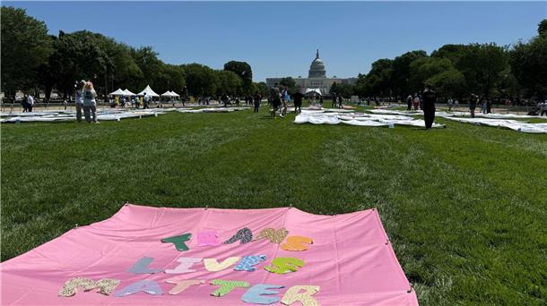 „Trans Lives Matters“ - auf der National Mall vor dem Kapitol sind am ersten Tag der Worldpride verschiedene Banner zu sehen, auf denen die Rechte von Transpersonen eingefordert werden. 
