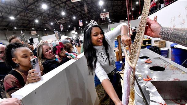Trinity McGee, die Gewinnerin des Miss Snake Charmer-Wettbewerbs 2023, häutet eine Klapperschlange beim 65. World’s Largest Rattlesnake Roundup in den USA.