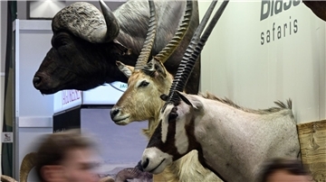 Trophäen von Wildtieren auf der Messe „Jagd und Hund“ in Dortmund.