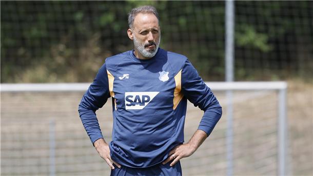 Trotz der personellen Beben bei der TSG Hoffenheim hat Trainer Pellegrino Matarazzo ein Treuebekenntnis abgegeben. Doch es braucht nun schnelle Entscheidungen auf vielen Ebenen.
