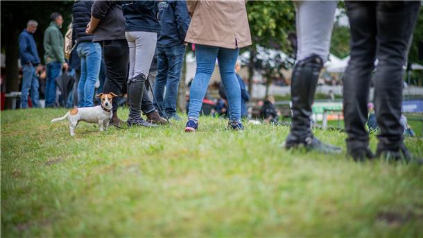 Elmloher Reitertage 2023 - Donnerstag. Im Bild: Trotz Regenwetter ist das Turniergelände für die Besucher noch gut erreichbar. 