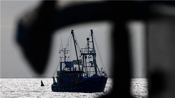 WWF: Grundschleppnetze fangen viele Fische in Schutzgebieten Über den Fischfang in Meeresschutzgebieten wird immer wieder gestritten. (Symbolbild)
