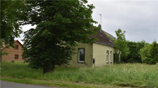 Über dieses Grundstück an der Deichstraße in Seefeld, auf dem ein verfallenes Gebäude steht, soll die Ferienhaussiedlung erschlossen werden.