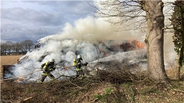 Über mehrere Stunden kämpfte die Feuerwehr mit dem Brand.