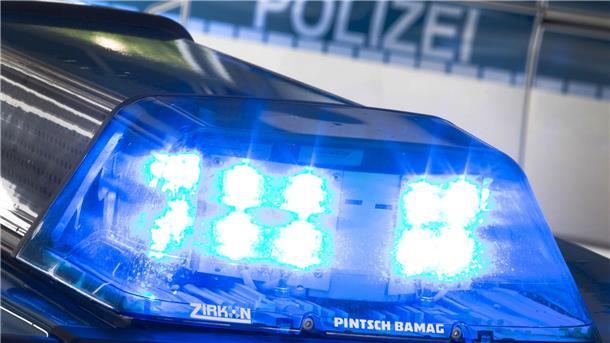 Überraschung beim Ausleeren eines Altkleidercontainers: Eine Schlange steckt in einem zugeschnürten Kopfkissenbezug. (Symbolbild)