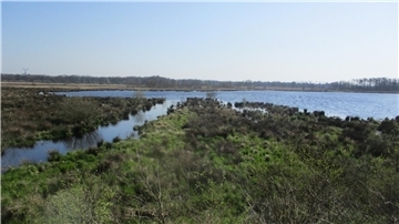 Um auf häufiger auftretende Extremwetterereignisse mit Starkregen und Binnenhochwasser im Landkreis besser reagieren zu können, ist für den Stinstedter Seepolder eine Neukonzeption des Wassermanagements mit einem Ausbau der Wasserrückhaltung geplant.