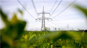 Um die Herausforderungen beim Ausbau des Stromnetzes zu meistern, ist der Landkreis Wesermarsch der "Hamelner Erklärung" beigetreten.