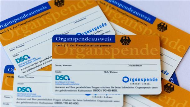 Könnte eine Lotterie den Mangel an Organspendern beheben? Um mehr Menschen als potenzielle Organspender zu gewinnen, haben zwei Wirtschaftswissenschaftler eine Lotterie vorgeschlagen.