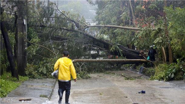 Umgestürzte Bäume blockieren eine Straße in Baguio City im Norden der Philippinen. .