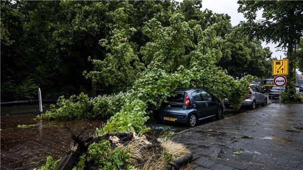 Sturmtief sorgt für Hunderte Einsätze Umgestürzter Baum auf einem Auto im niederländischen Haarlem.